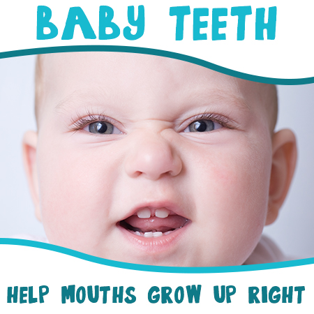 Lexington dentist, Dr. Alisha Patel at Hamburg Family Dental, discusses the importance of baby teeth in setting the stage for good oral health later in life.