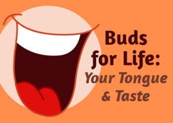 Lexington dentist, Dr. Alisha Patel of Hamburg Family Dental, takes a moment to talk about what’s responsible for your love and dislike of certain foods: taste buds!