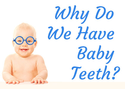 Lexington dentist, Dr. Alisha Patel at Hamburg Family Dental discusses the reasons why we have baby teeth and the importance of caring for them with pediatric dentistry.